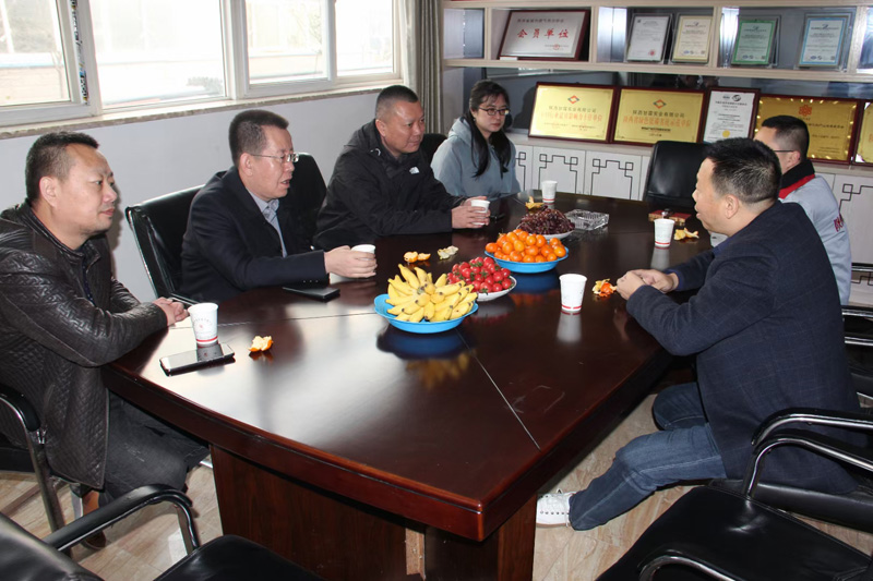 新疆天業(yè)集團公司董事長李河、譚新民等人蒞臨陜西甘霖實業(yè)公司考察指導(dǎo)工作
